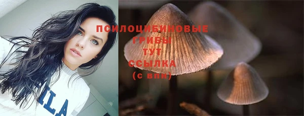кокс Всеволожск