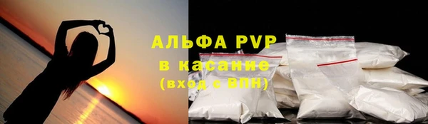 шишки Алексин