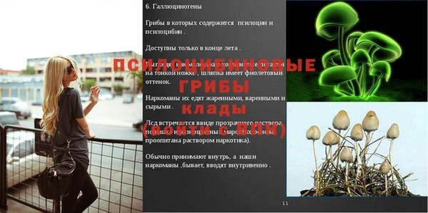 наркотики Алексеевка