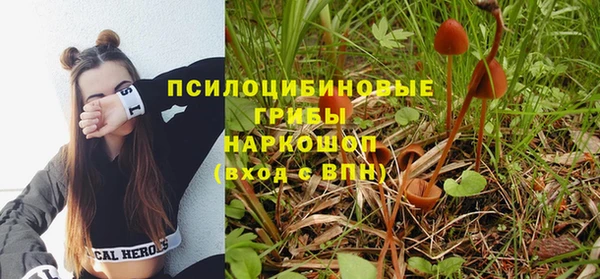 шишки Алексин
