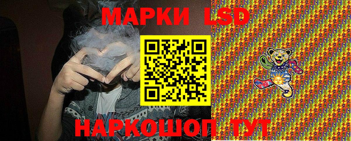 Псилоцибиновые грибы Карачаевск