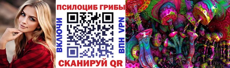 Псилоцибиновые грибы мухоморы  Карачаевск 