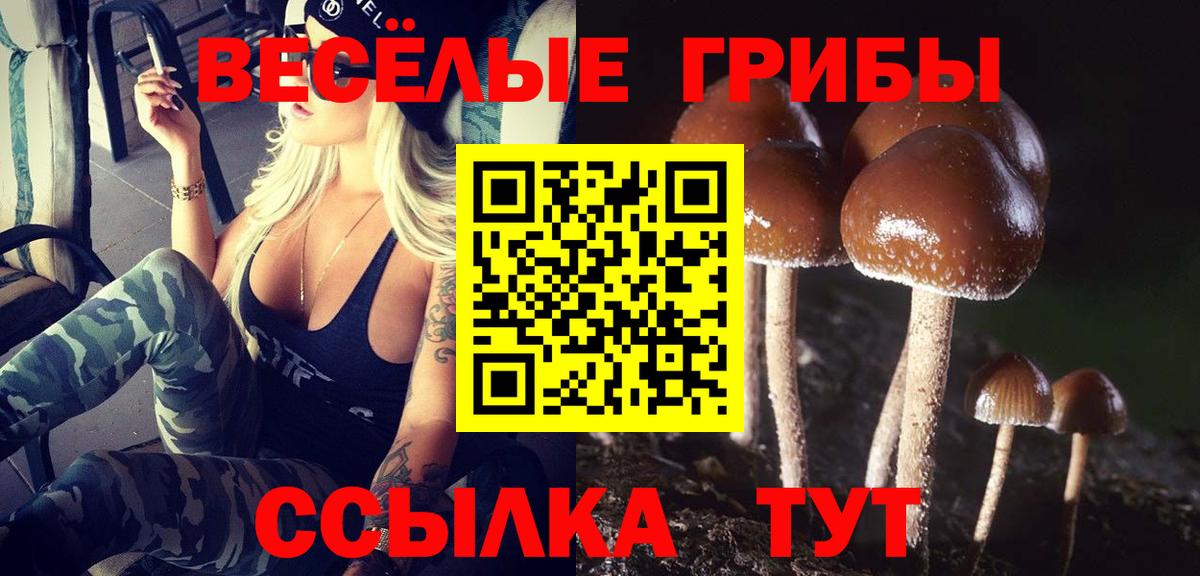 Карачаевск  Псилоцибиновые грибы Psilocybine cubensis  Вход с VPN  Псилоцибиновые грибы MAGIC MUSHROOMS 